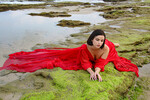 Debbie Strauss : beuty 