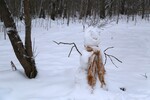Борис Баринов : Оптимист 