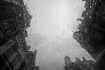 Leonid Lev : Городской дождь  