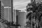 Nai miami Fort Lauderdale : Leading the Way in Commercial Real Estate Ft. Lauderdale | NAI Miami Fort Lauderdale 