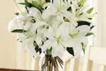 Myflorista Philippines : Flowers to Philippines – MyFlorista 
