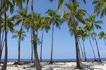 S. V. : Big island on the Hawaii.  