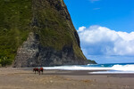 S. V. : Valley waipio. Big island on the Hawaii.  