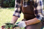 RAWR Support Services : Aged Care The Bluff Toowoomba | RAWR Support Services 