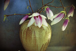 Galina Romanov : *** 