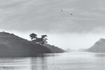 Alex Mimo : MIsty Port Lligat 
