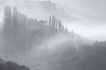 Alex Mimo : Crete Cenese 