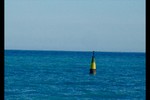 Дарья А. : водная гладь 