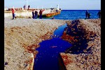 Дарья А. : Ялта 