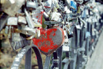 Natalia Krylova : love locks 