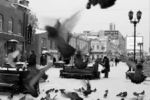 Алёна Сергеева : Мой город 