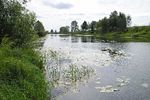 Александр Емельянов : мокрая фотография 