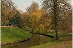 Johny Hemelsoen : Spring. 