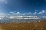Dan Zu : Norderney 