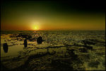 Alexander Tolchinskiy :  