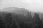 Ольга Шуть : behind the fog... 