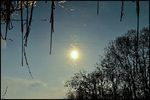 Ольга Лопата : Солнечное отражение 