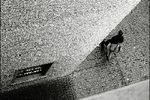 Svetlana Chekhlataya : man walking 