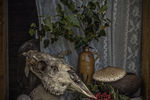 Виталий Никитин : We expect the mother-in-law on a visit! 